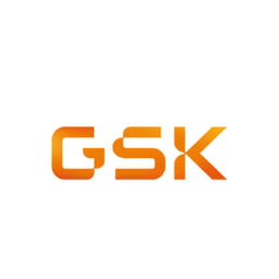 Platinum Sponsor 2021